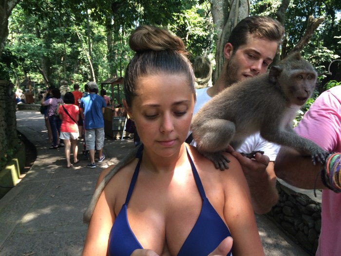 ubudmonkey4